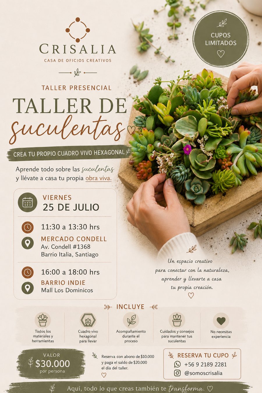 Afiche del taller de suculentas — sábado 25 de julio, Mercado Condell y Barrio Indie